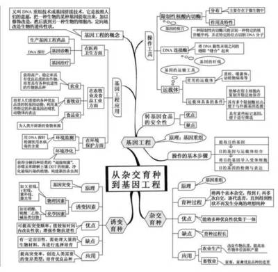 高考生物一輪復(fù)習(xí)必備知識網(wǎng)絡(luò)導(dǎo)圖 學(xué)霸高效策略